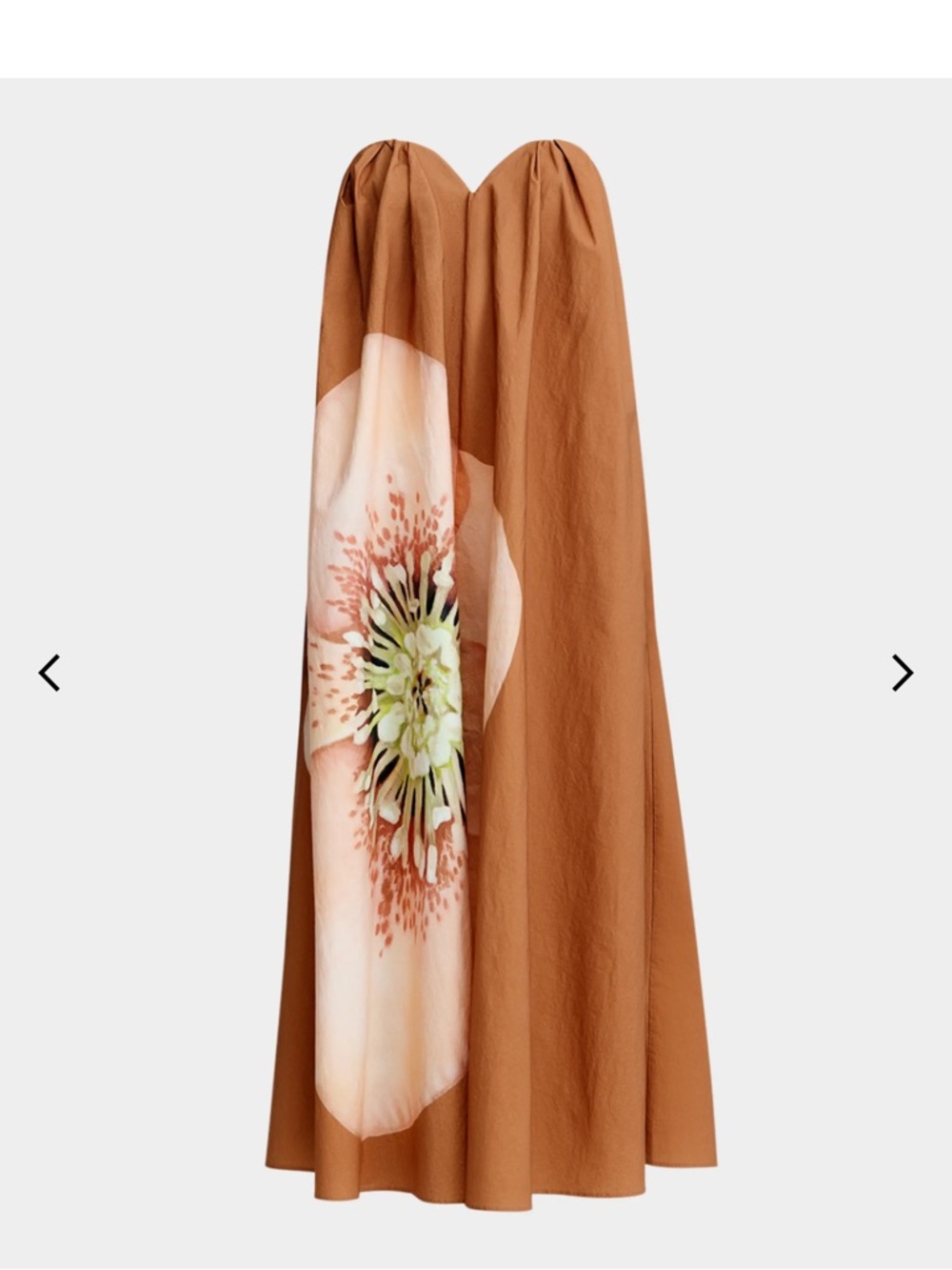 Significant Other Shiloh Strapless Floral Maxi Dress